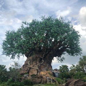 Meet your Posher, Tjuan